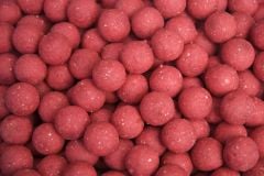 BEST BAIT BOİLİ YEM 200GR. ANASONLU