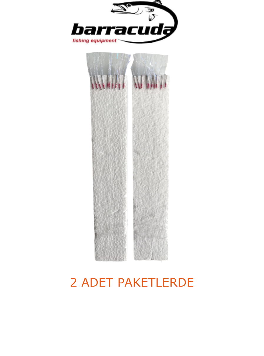 10 İĞNELİ İNCE TAKIM KÖPÜK ÇAPARİ 2 ADET PAKETLERDE
