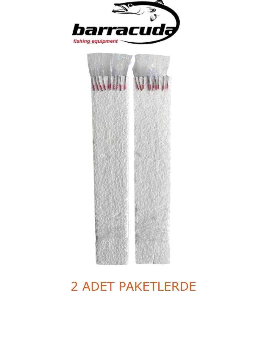 10 İĞNELİ İNCE TAKIM KÖPÜK ÇAPARİ 2 ADET PAKETLERDE