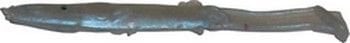 BR-22 RAGLOU 8 CM (5'Lİ PAKET)